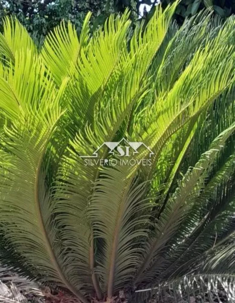 Terreno, 3 hectares - Foto 3