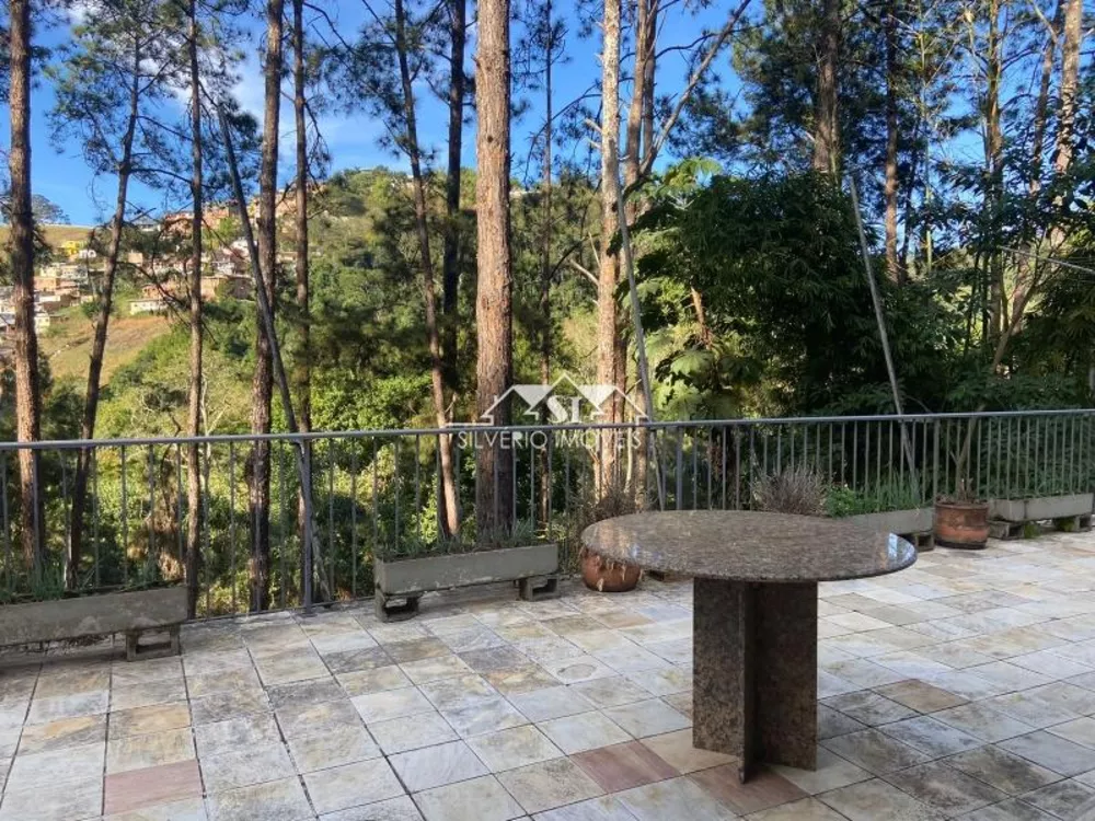 Terreno, 6 hectares - Foto 4