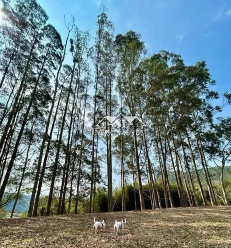 Terreno, 3700 m² - Foto 7