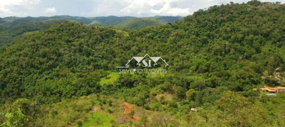 Terreno, 4 hectares - Foto 4