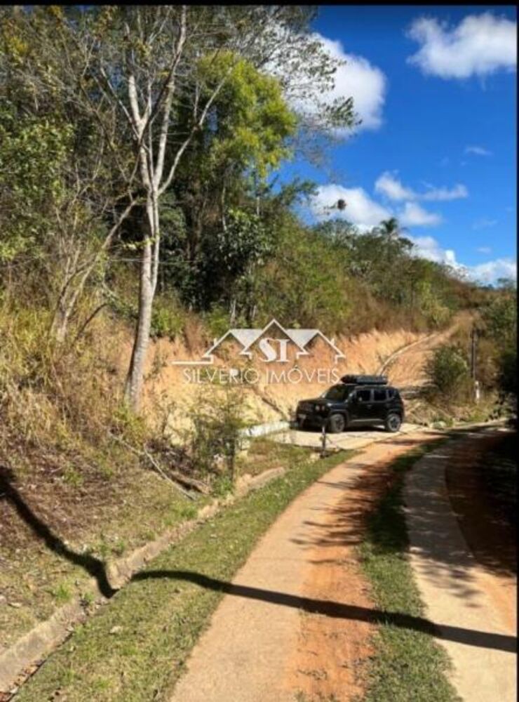 Terreno, 4 hectares - Foto 8