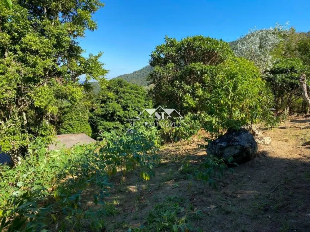 Sítio, 3 quartos, 6000 m² - Foto 24