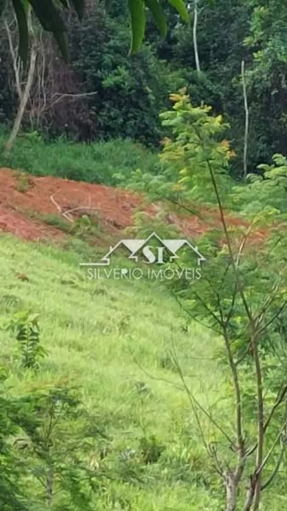 Sítio, 1 quarto, 4 hectares - Foto 8