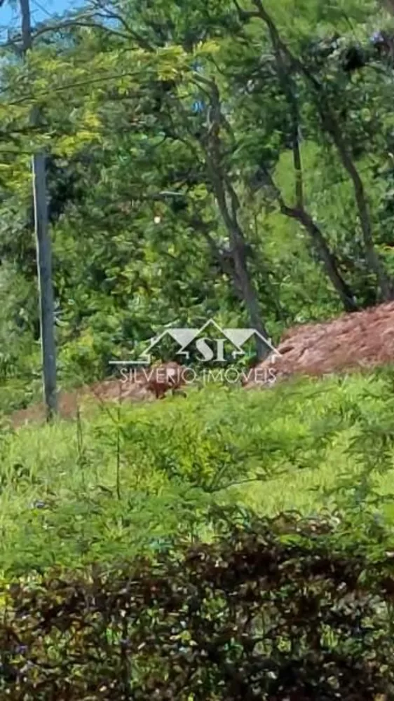 Sítio, 1 quarto, 4 hectares - Foto 9