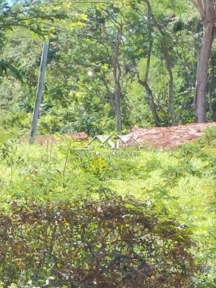 Sítio, 1 quarto, 4 hectares - Foto 10