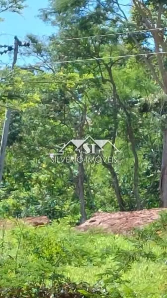 Sítio, 1 quarto, 4 hectares - Foto 11