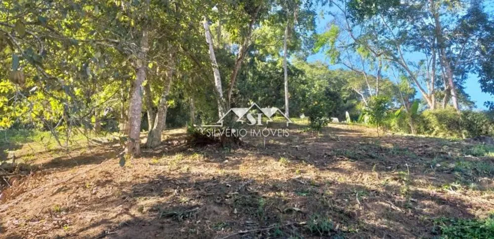 Casa, 3 quartos, 300 m² - Foto 8