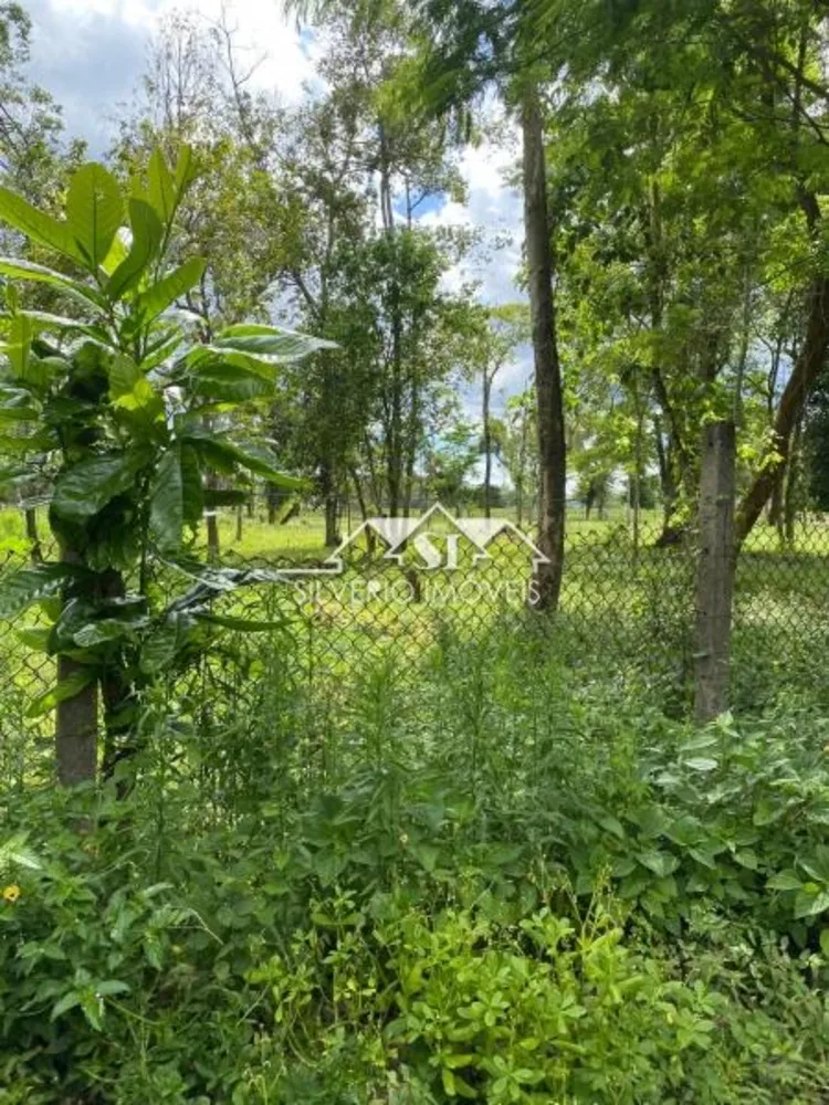 Terreno, 3 hectares - Foto 4