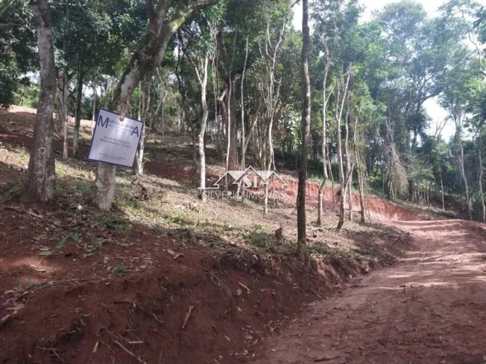 Terreno, 4000 m² - Foto 5