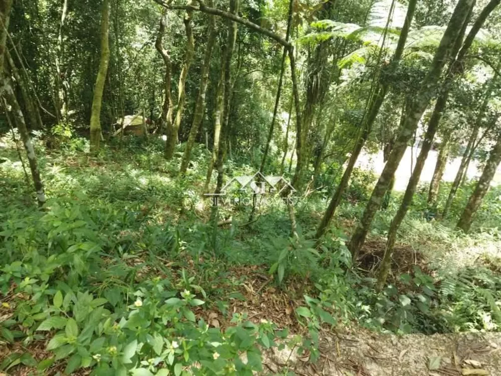 Terreno, 721 m² - Foto 5