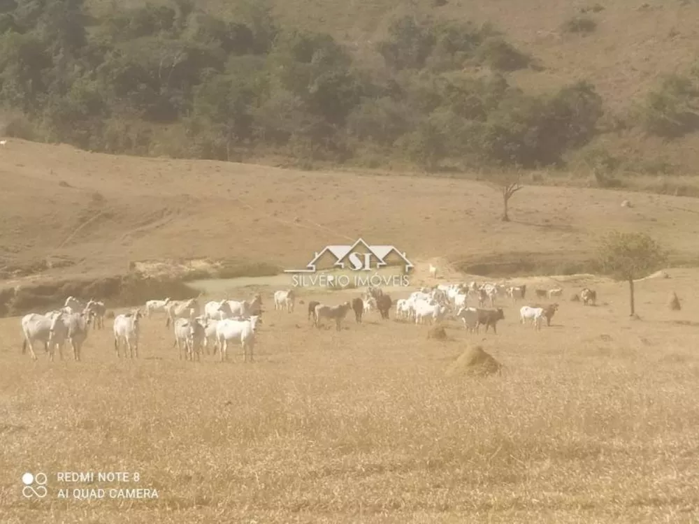 Fazenda, 620 hectares - Foto 4
