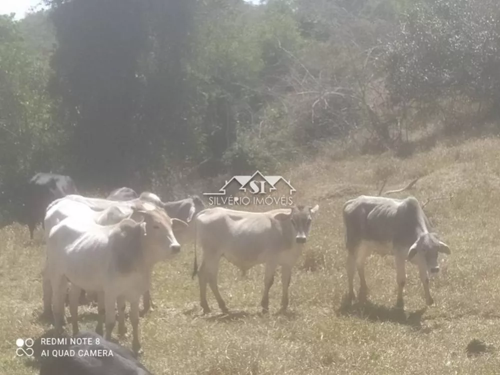 Fazenda, 620 hectares - Foto 3