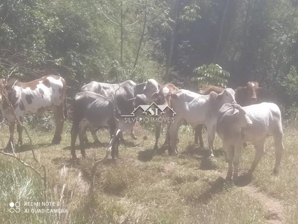 Fazenda, 620 hectares - Foto 1