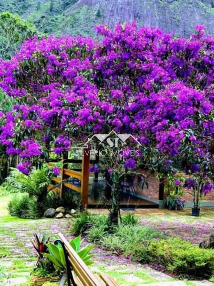 Sítio, 5 quartos, 1 hectares - Foto 3