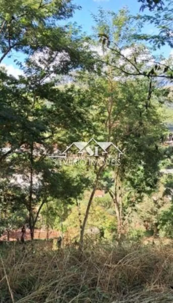 Terreno, 5000 m² - Foto 5