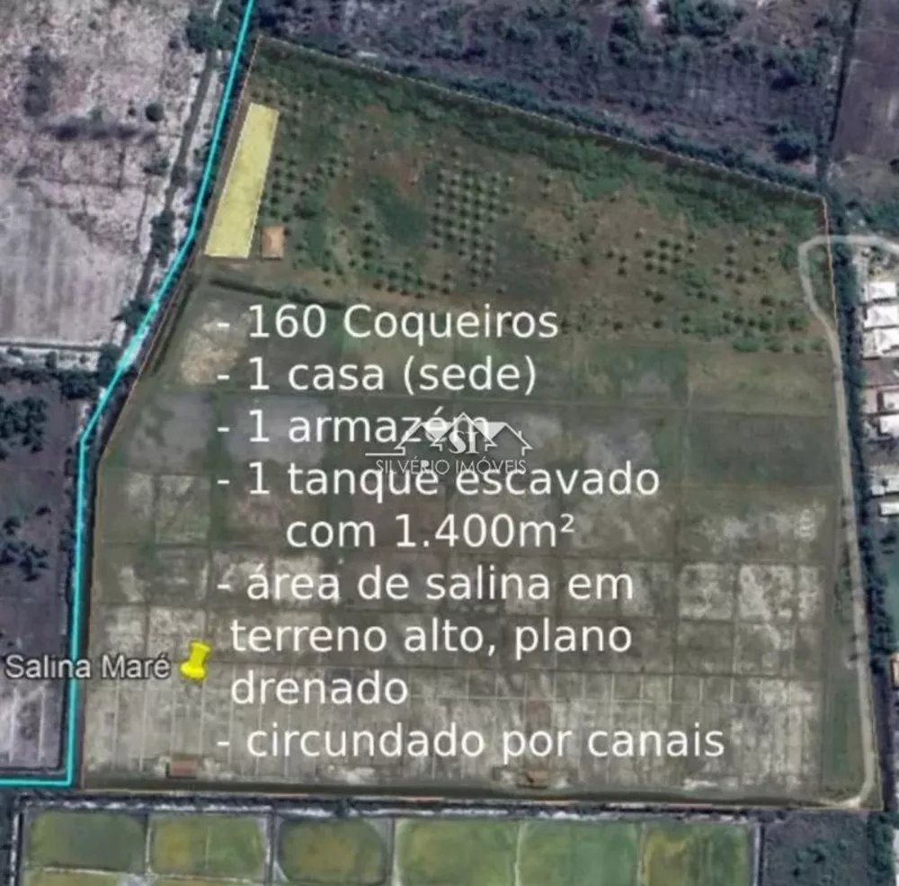 Terreno, 13 hectares - Foto 3