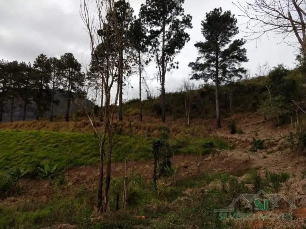 Terreno, 8582 m² - Foto 4