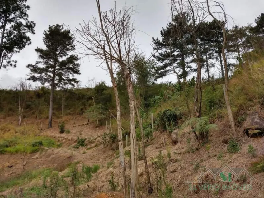 Terreno, 8582 m² - Foto 1