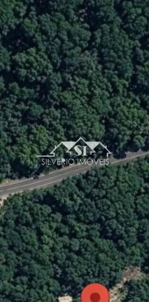 Terreno, 3 hectares - Foto 6
