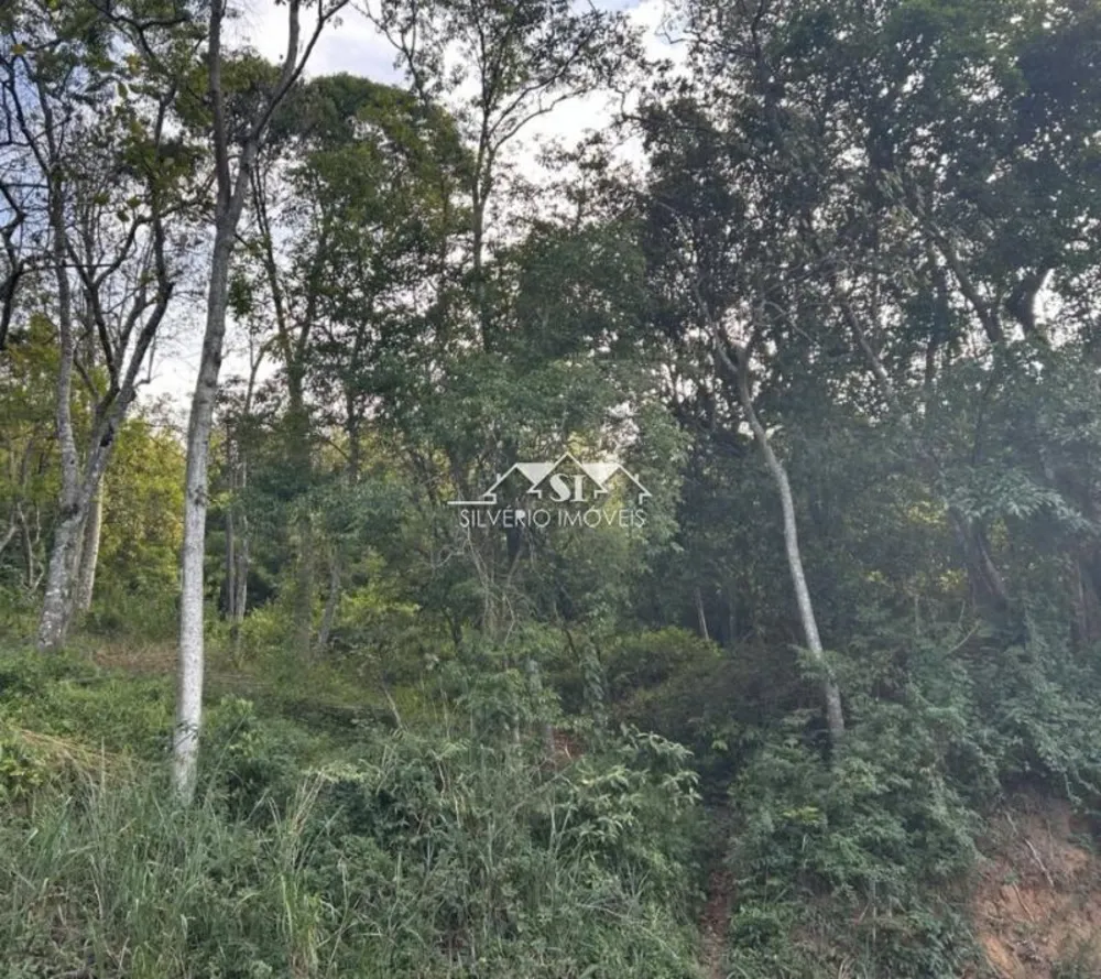 Terreno, 729 m² - Foto 5
