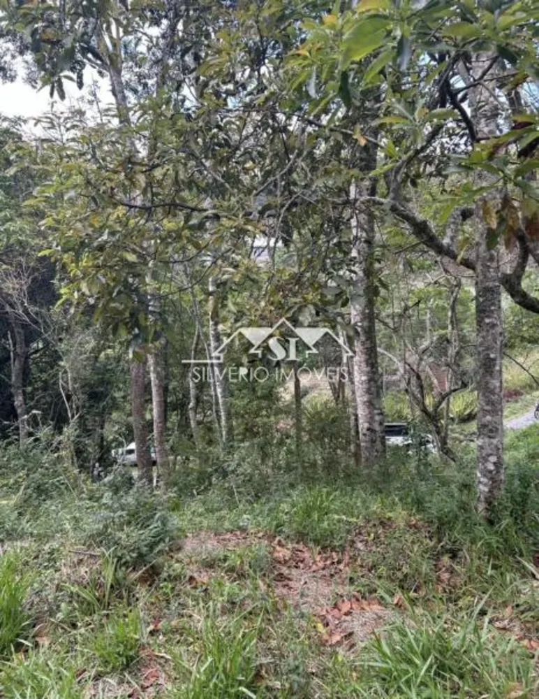 Terreno, 729 m² - Foto 3