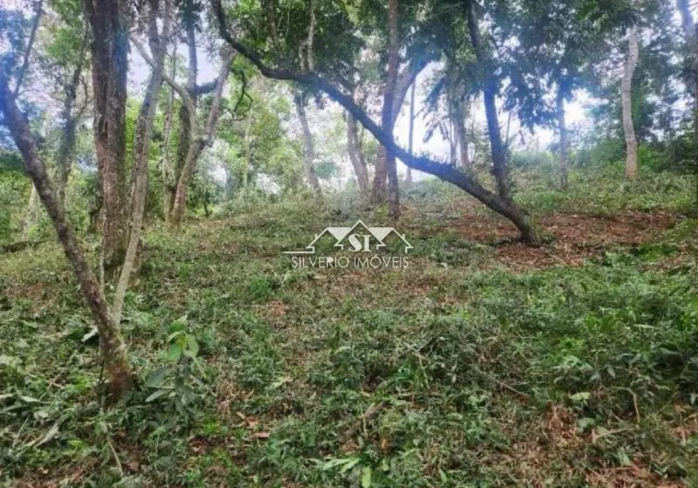 Terreno, 2 hectares - Foto 5