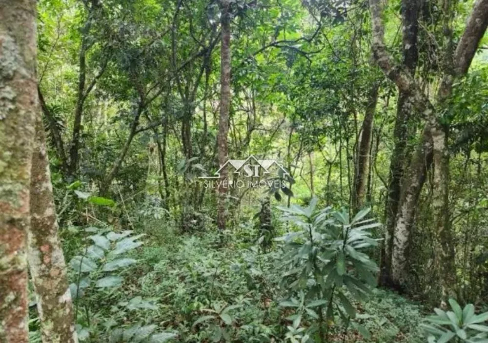 Terreno, 2 hectares - Foto 3