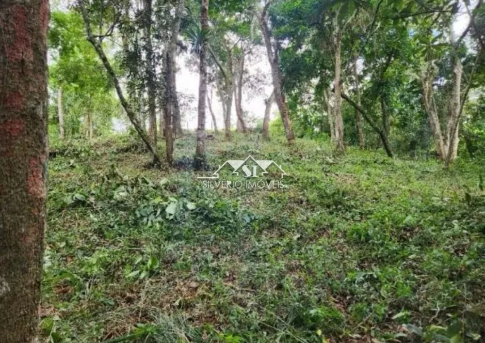 Terreno, 2 hectares - Foto 2