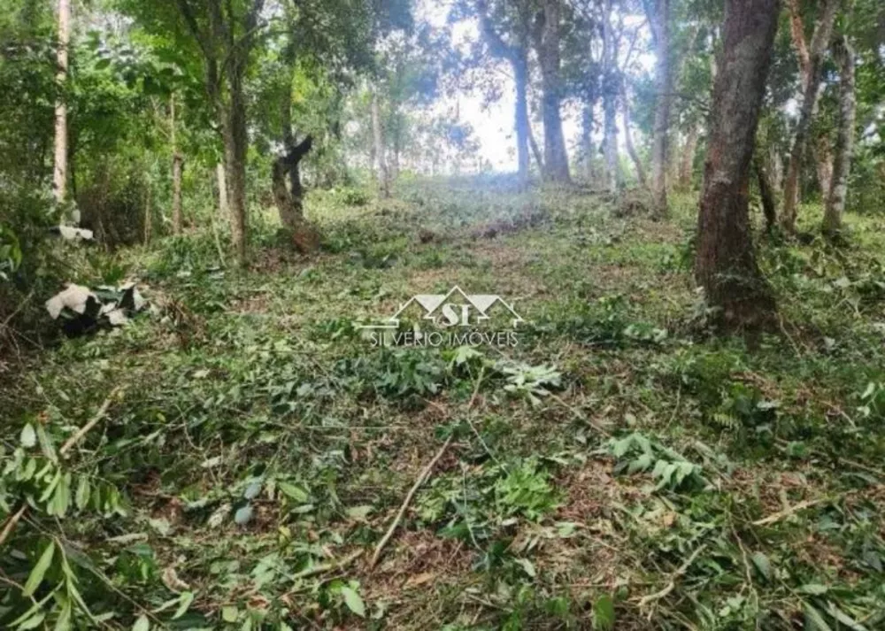 Terreno, 2 hectares - Foto 1