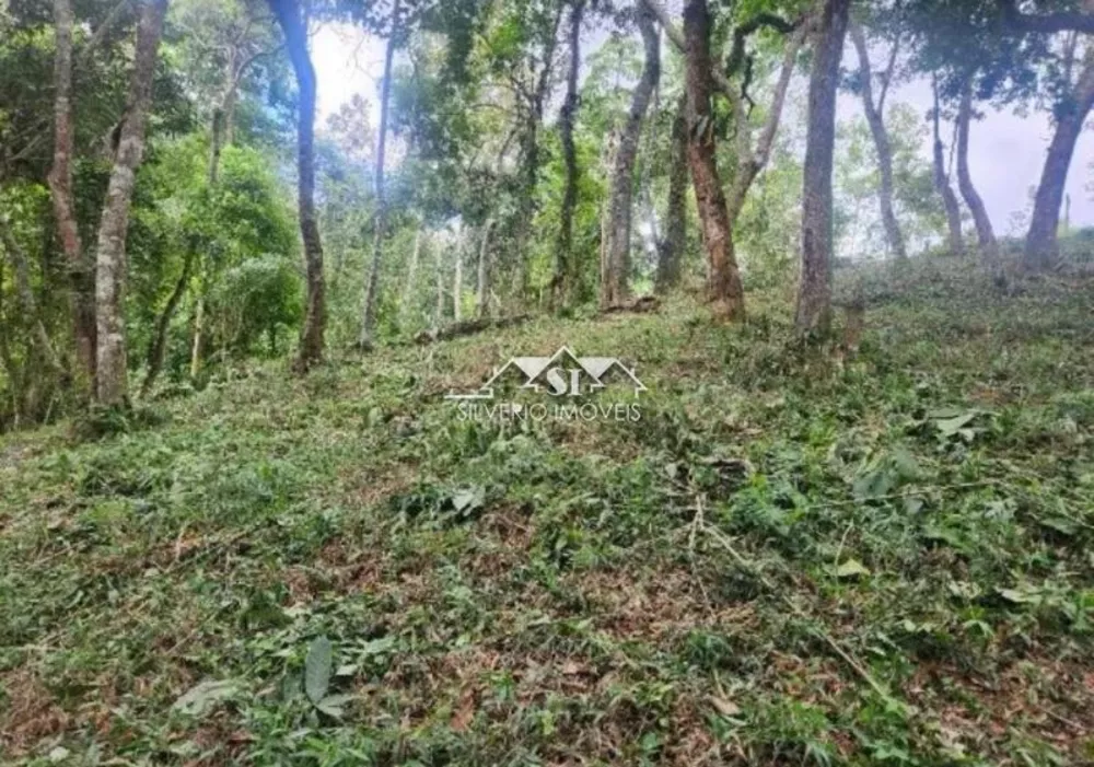 Terreno, 2 hectares - Foto 4