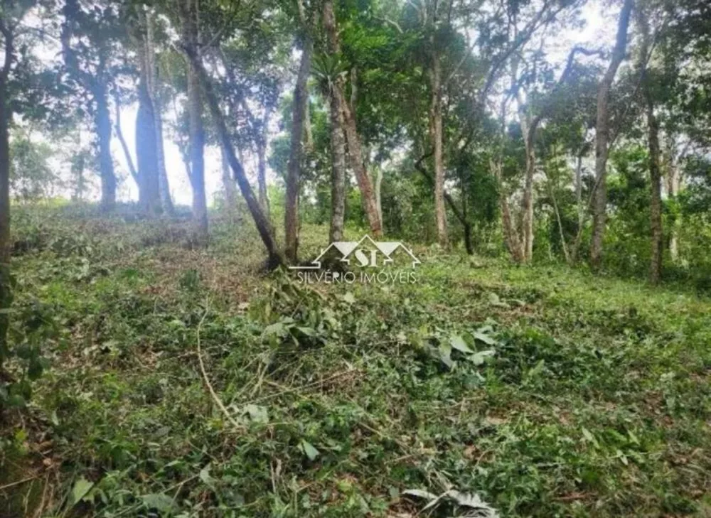 Terreno, 2 hectares - Foto 7