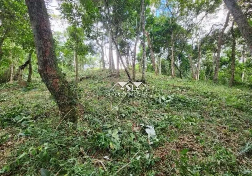 Terreno, 2 hectares - Foto 6