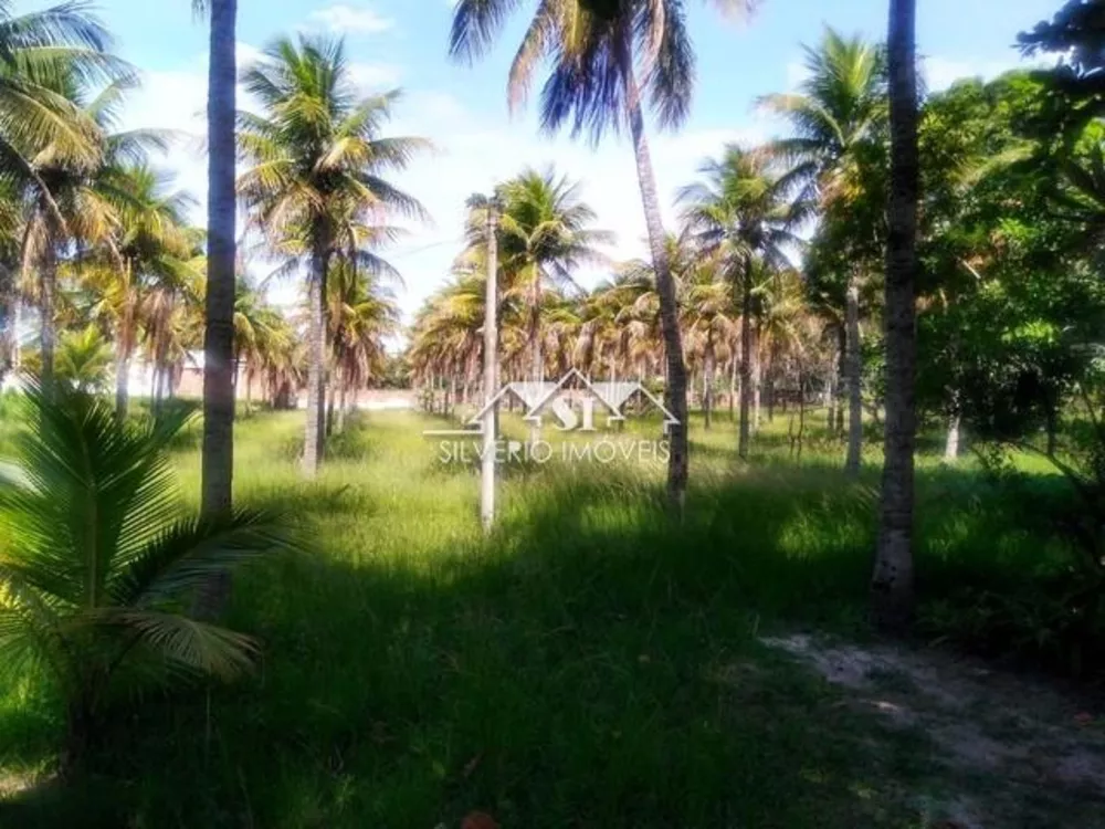 Sítio, 5 quartos, 3 hectares - Foto 1