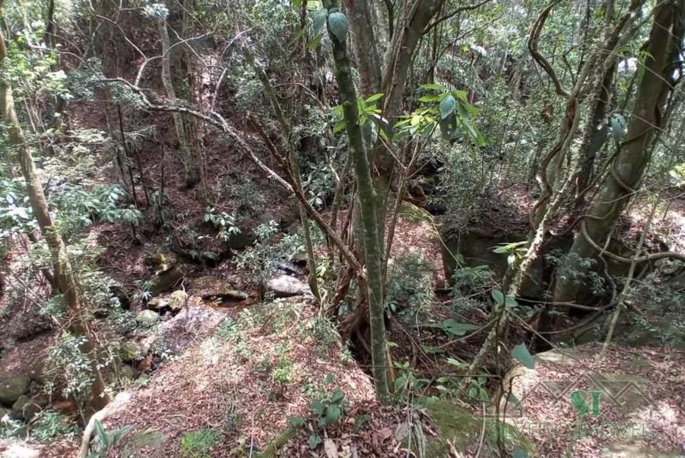Sítio, 3 quartos, 2 hectares - Foto 15