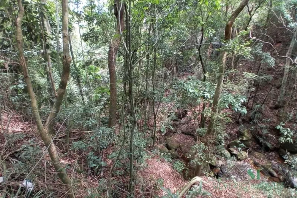 Sítio, 3 quartos, 2 hectares - Foto 4