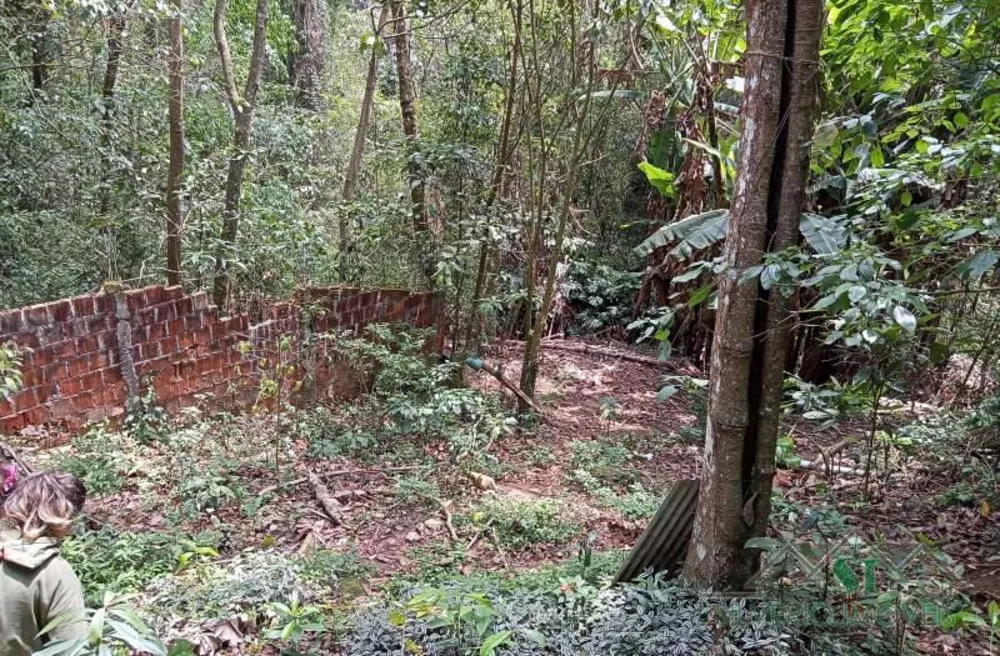 Sítio, 3 quartos, 2 hectares - Foto 19