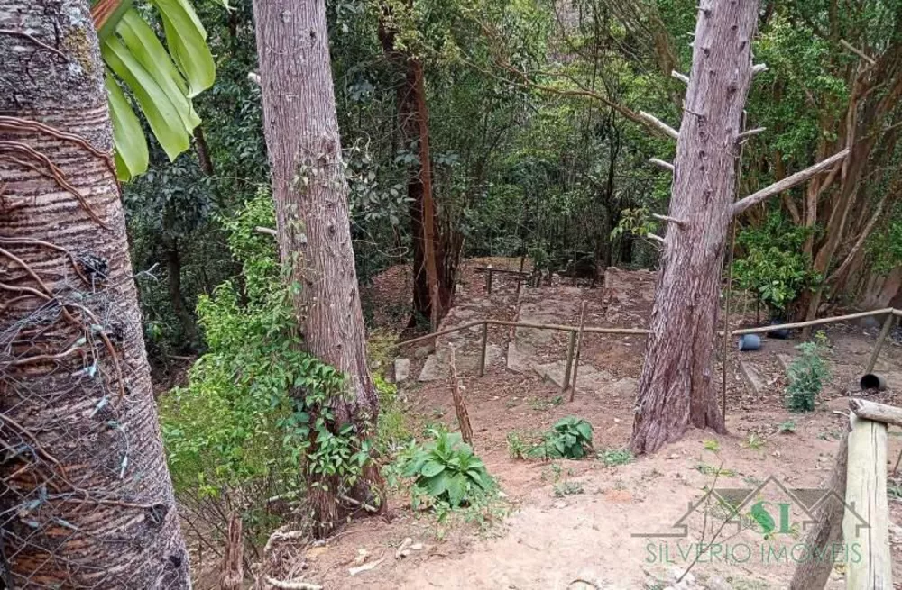Sítio, 3 quartos, 2 hectares - Foto 14