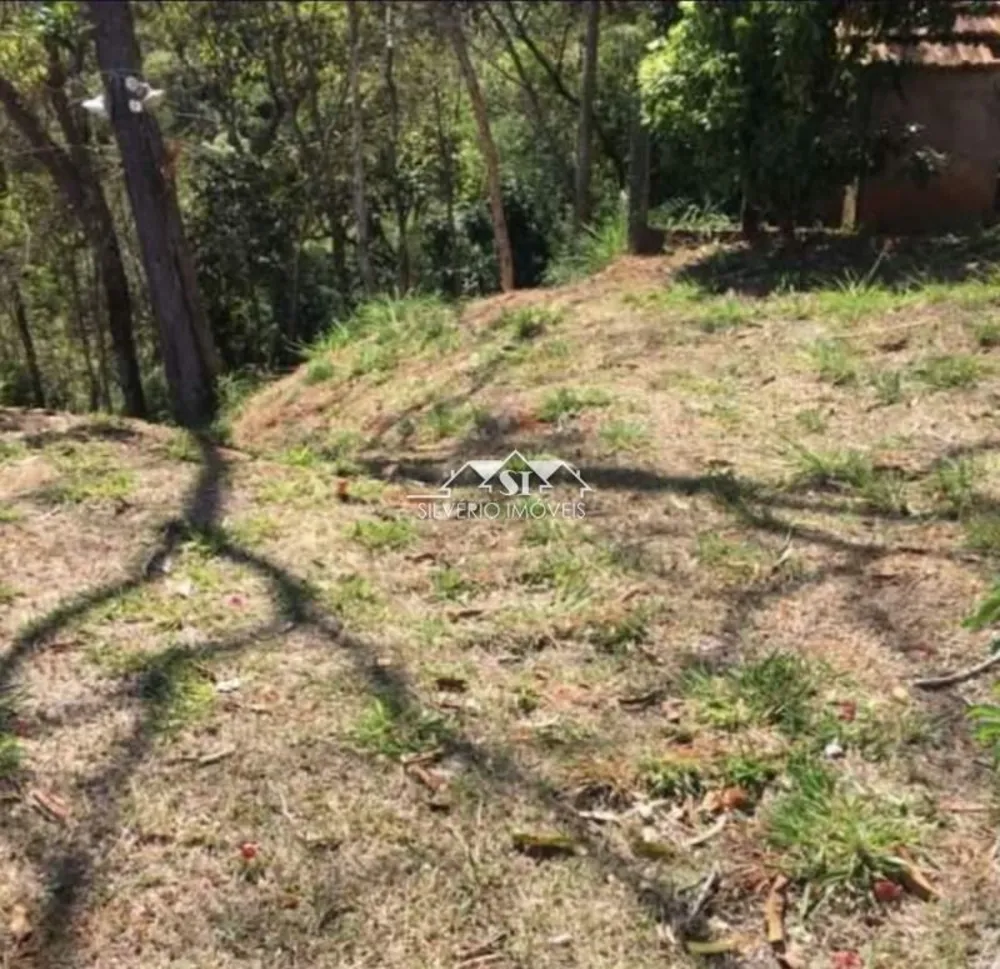 Terreno, 3166 m² - Foto 7