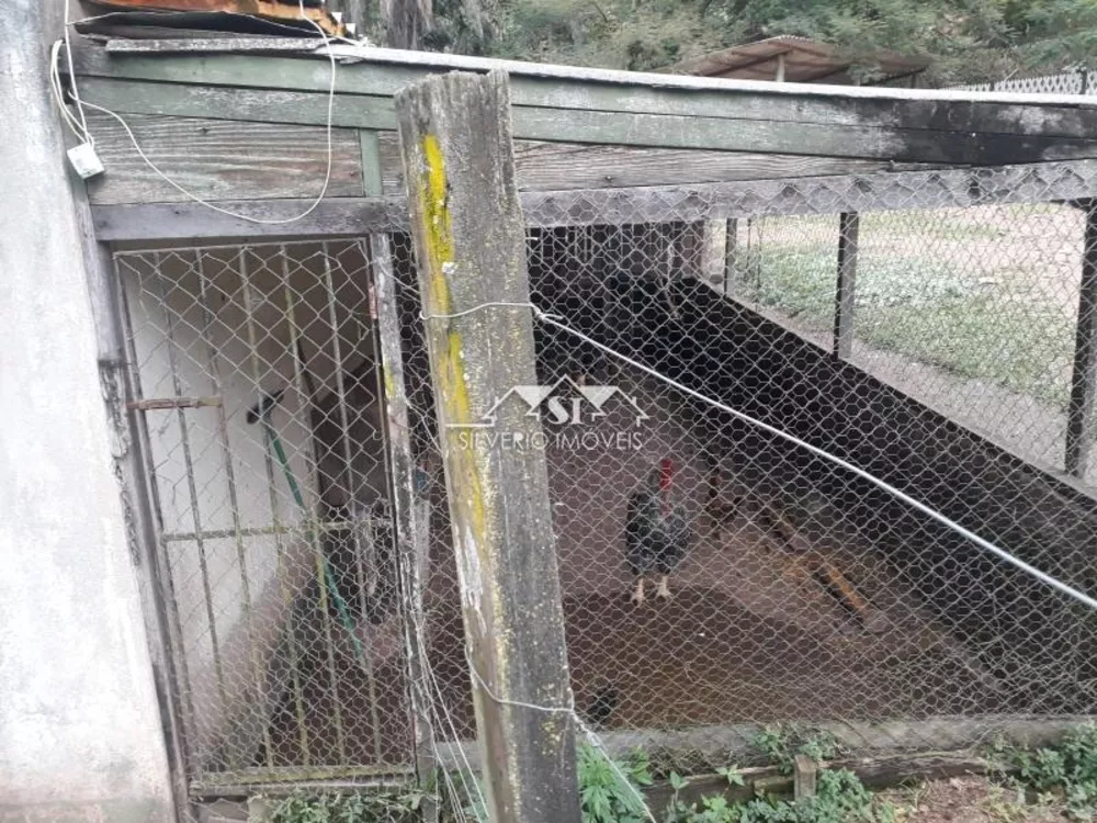 Fazenda, 6 hectares - Foto 15