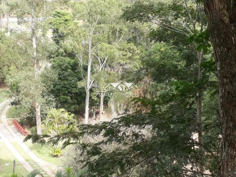 Fazenda, 6 hectares - Foto 12