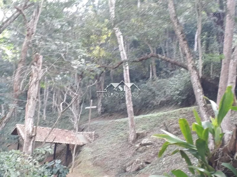 Fazenda, 6 hectares - Foto 8