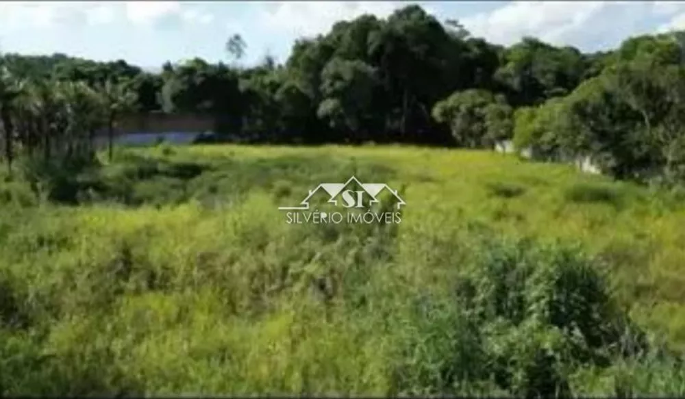 Terreno, 7250 m² - Foto 5