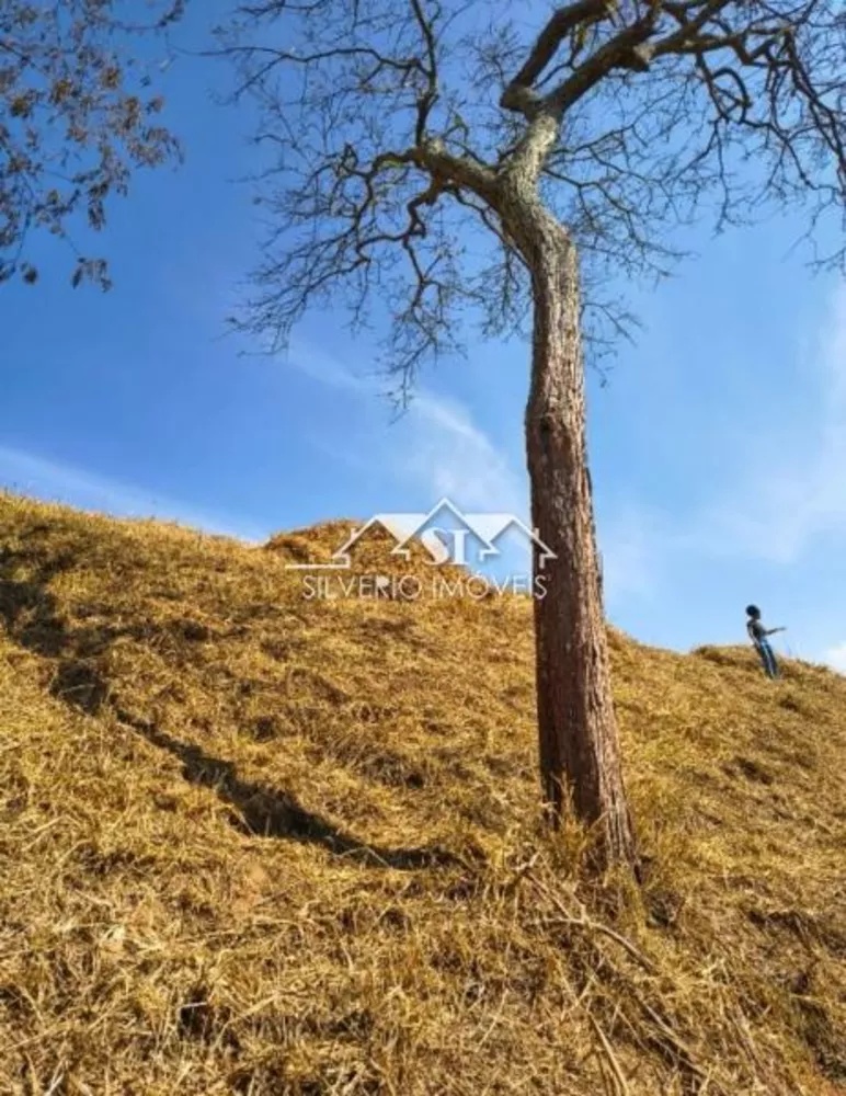 Terreno, 108 hectares - Foto 6