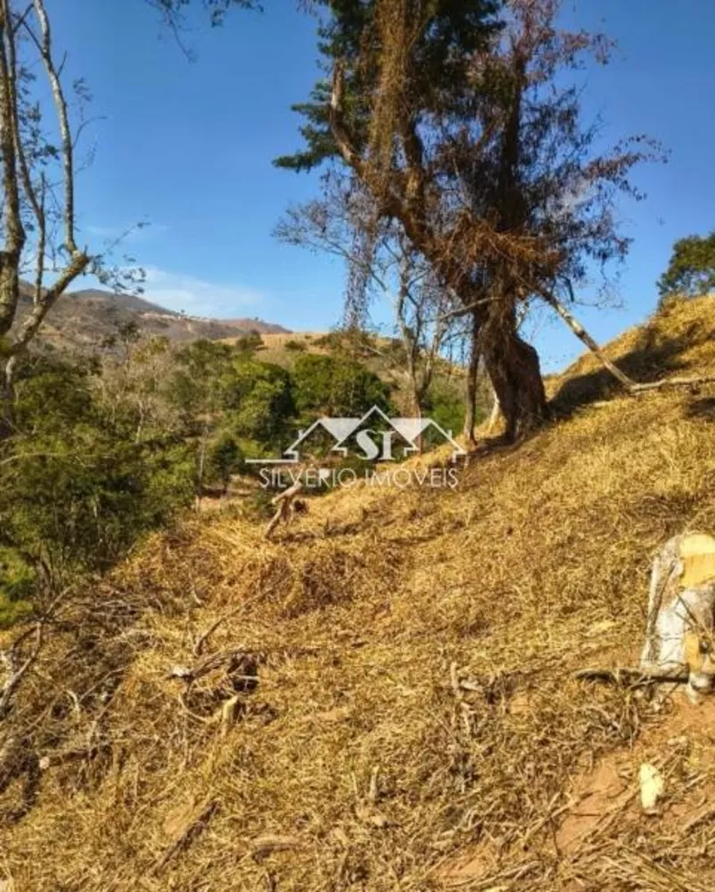 Terreno, 108 hectares - Foto 2