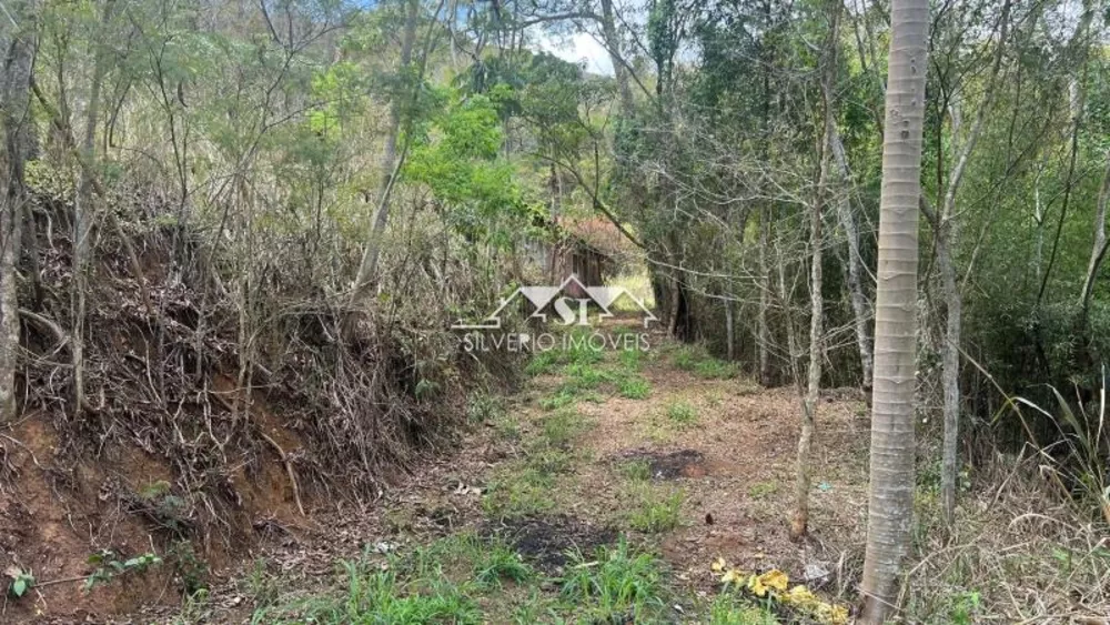 Terreno, 84 hectares - Foto 7