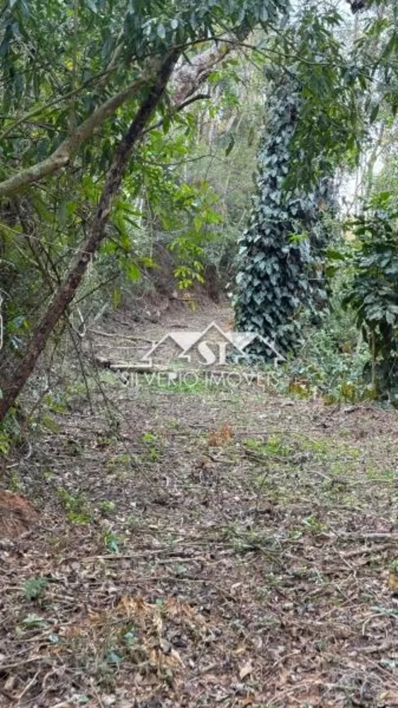 Terreno, 84 hectares - Foto 17