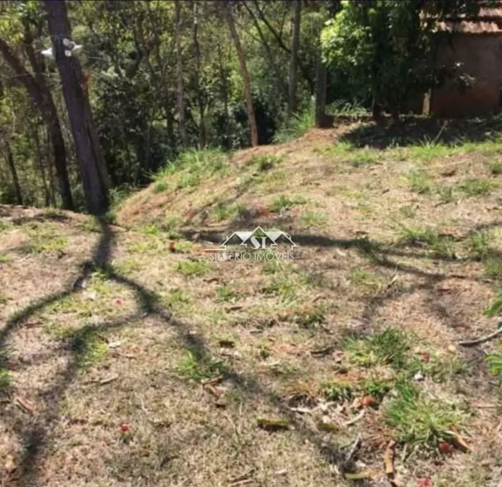 Terreno, 3166 m² - Foto 7