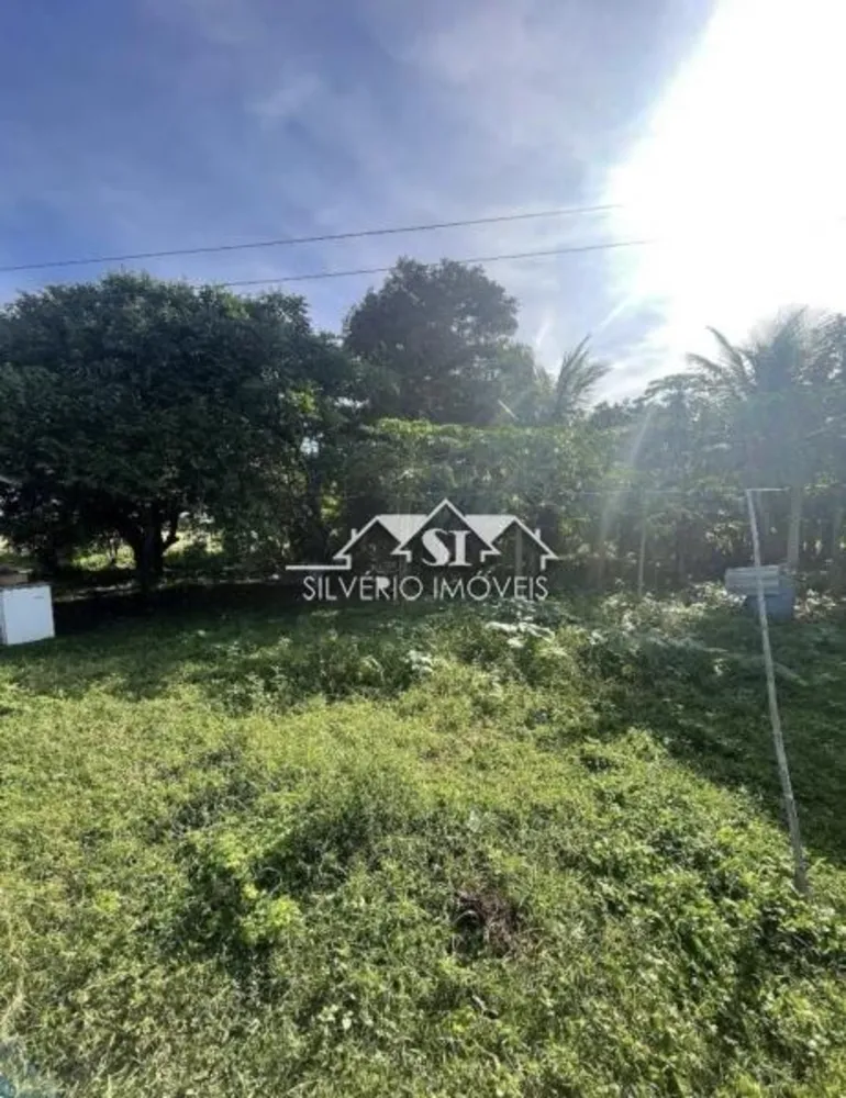 Fazenda, 2100 hectares - Foto 6