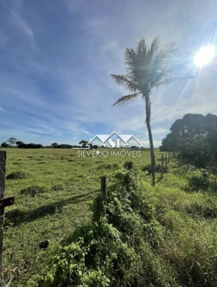 Fazenda, 2100 hectares - Foto 3