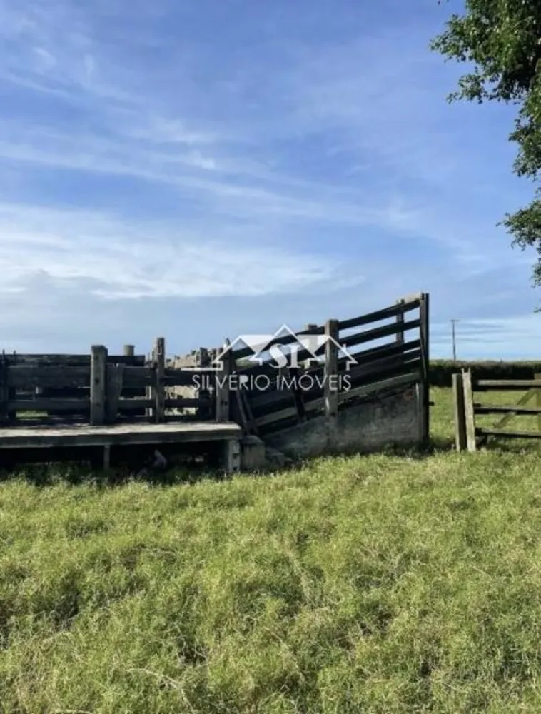 Fazenda, 2100 hectares - Foto 15